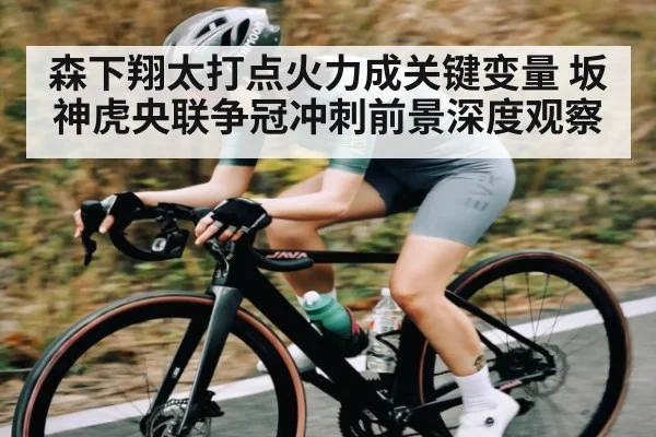 森下翔太打点火力成关键变量 坂神虎央联争冠冲刺前景深度观察